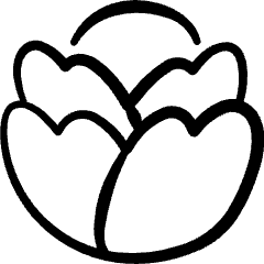 Vegetable Cabbage 3 Icon from Freehand Set