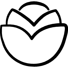 Vegetable Cabbage 4 Icon from Freehand Set