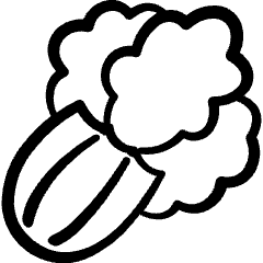 Vegetable Cerery Icon from Freehand Set