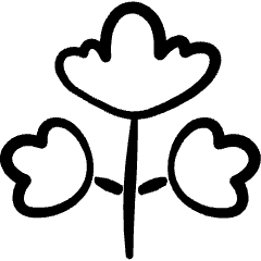 Vegetable Cilantro Coriander Icon from Freehand Set