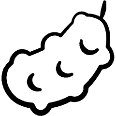 Vegetable Cucumber 4 Icon from Freehand Set