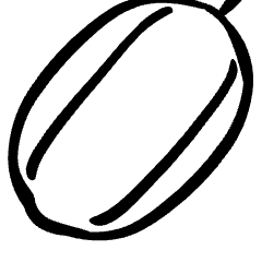 Vegetable Delicata Squash 2 Icon from Freehand Set