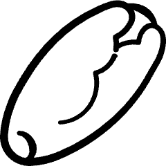 Vegetable Endive Icon from Freehand Set