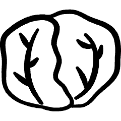 Vegetables Cabbage 1 Icon from Freehand Set