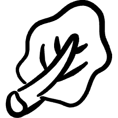 Vegetables Cabbage Leaf Icon from Freehand Set