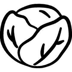 Vegetables Cabbage Icon from Freehand Set