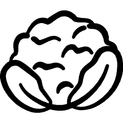 Vegetables Cauliflower Icon from Freehand Set