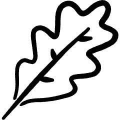 Vegetables Rocket Salad Icon from Freehand Set