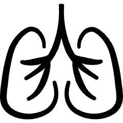 Medical Specialty Lungs Icon from Freehand Set