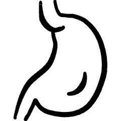 Medical Specialty Stomach Icon from Freehand Set