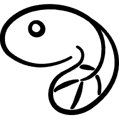 Amphibian Tadpole 1 Icon from Freehand Set