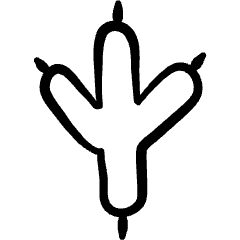 Animal Print Chicken Icon from Freehand Set