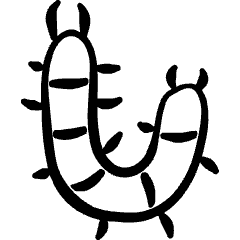 Insect Centipede Icon from Freehand Set