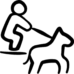 Skiing Snow Skijoring Icon from Freehand Set