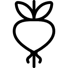 Vegetables Beet Icon from Ultimate Light Set