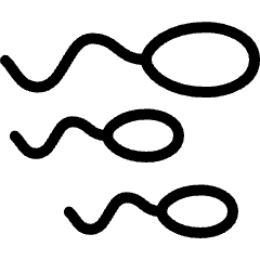 Pregnancy Sperm 1 Icon from Ultimate Light Set