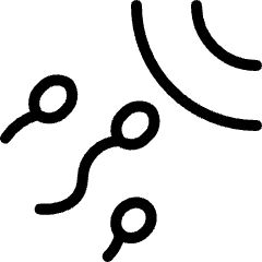 Pregnancy Sperm Icon from Ultimate Light Set
