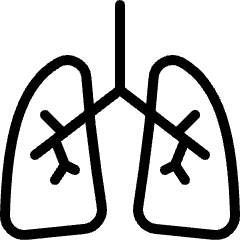 Medical Specialty Lungs Icon from Ultimate Light Set