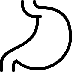 Medical Specialty Stomach Icon from Ultimate Light Set