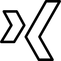 Xing Logo Icon from Ultimate Light Set