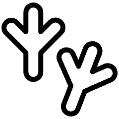 Animal Print Bird 2 Icon from Ultimate Light Set