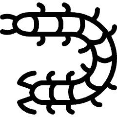 Insect Centipede Icon from Ultimate Light Set