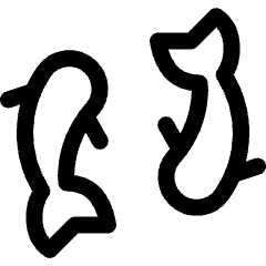 History Fish Icon from Ultimate Regular Set