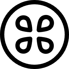 Fruit Kiwi Icon from Ultimate Regular Set