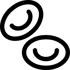 Pregnancy Eggs Icon from Ultimate Regular Set