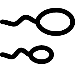 Pregnancy Sperm 1 Icon from Ultimate Regular Set