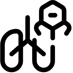 Medical Nanobot Lungs Icon from Ultimate Regular Set