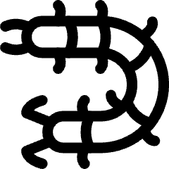 Insect Centipede Icon from Ultimate Regular Set