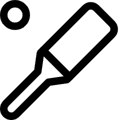 Cricket Bat Ball Icon from Ultimate Regular Set