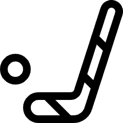 Hockey Puck Stick Icon from Ultimate Regular Set