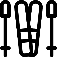 Skiing Skiis Icon from Ultimate Regular Set