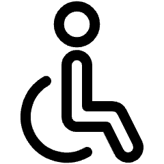 Disability Wheelchair Icon from Ultimate Regular Set