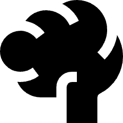 School Brain Icon from Nova Solid Set