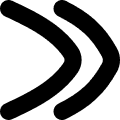 Double Tailless Line Arrow Right Icon from Flex Solid Set