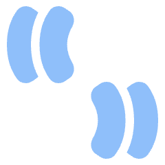 Quotation 4 Icon from Plump Flat Set