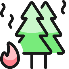 Trees Camp Fire Icon from Ultimate Colors Set