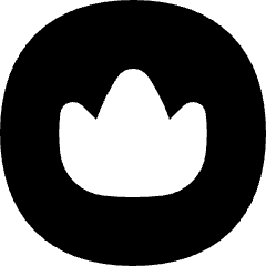 Crown Circle Icon from Flex Solid Set