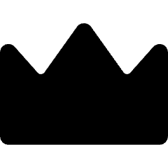 Crown Icon from Micro Solid Set