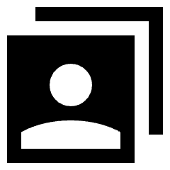 User Multiple Accounts Icon from Sharp Solid Set