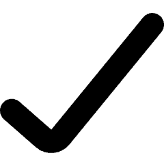 Check Icon from Core Solid Set