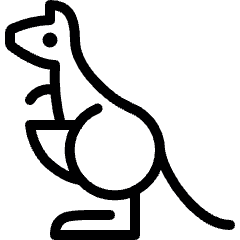 Kangaroo Icon from Ultimate Light Set