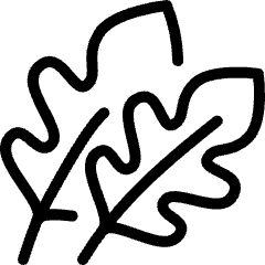 Vegetable Arugula Rocket Icon from Ultimate Light Set