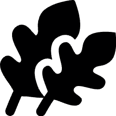 Vegetable Arugula Rocket Icon from Ultimate Bold Set