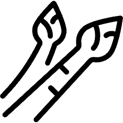 Vegetable Asparagus Icon from Ultimate Light Set