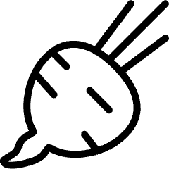 Vegetable Beet Icon from Ultimate Light Set