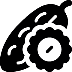 Vegetable Bitter Melon Slice Icon from Ultimate Bold Set